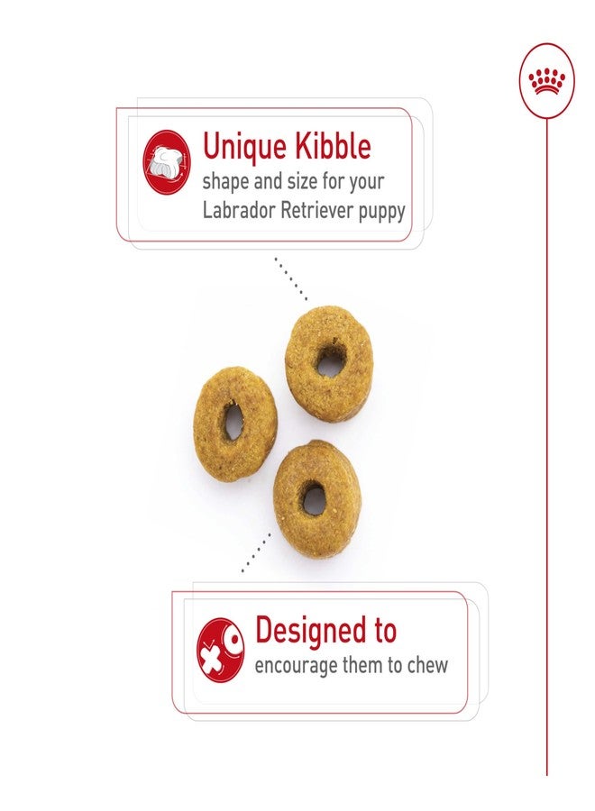 Royal Canin Breed Health Nutrition Labrador Retriever Puppy Dry Dog Food, 2.5 lb Bag - Image 3